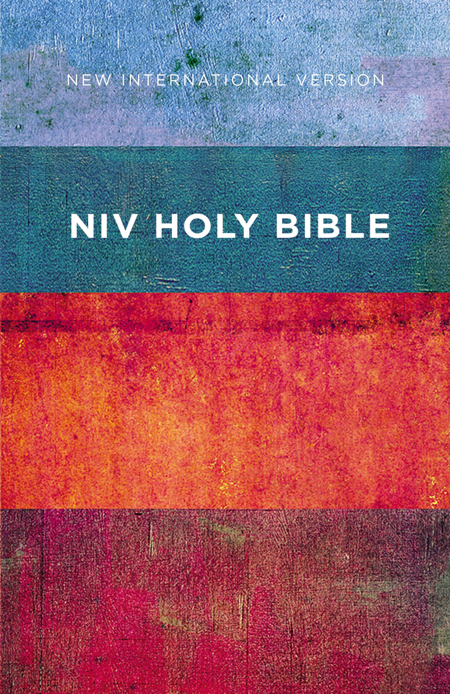 NIV Value Outreach Bible Paperback By Zondervan (Paperback)