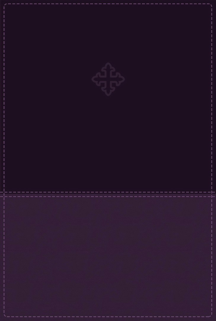 Amplified Study Bible Imitation Leather Purple Indexed By Zondervan