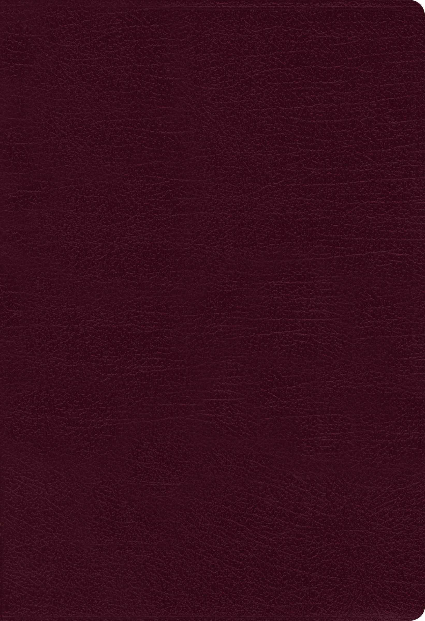 NIV Thinline Bible Giant Print Bonded Leather Burgundy Indexed R