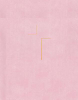 NIV Jesus Bible Pink Leather Comfort Print Introduction By Louie G