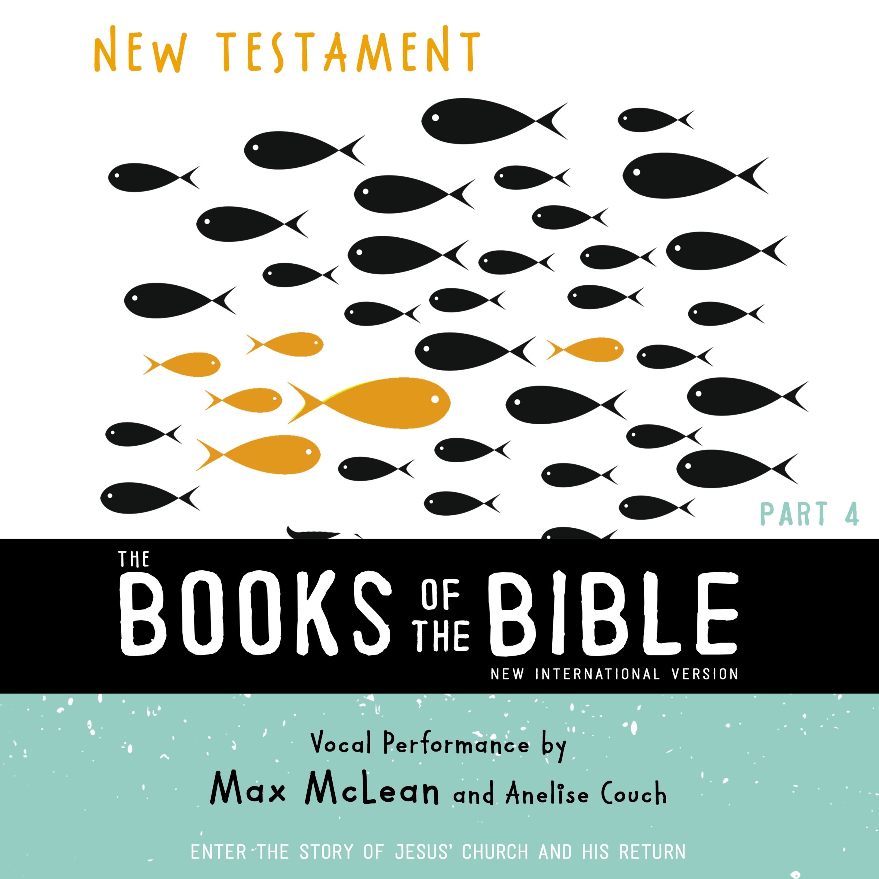 Books of the Bible Audio Bible - New International Version, NIV: New Testament