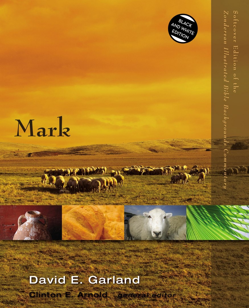 Mark By David E Garland (Paperback) 9780310522911