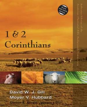 1 and 2 Corinthians By David W J Gill Moyer V Hubbard (Paperback)