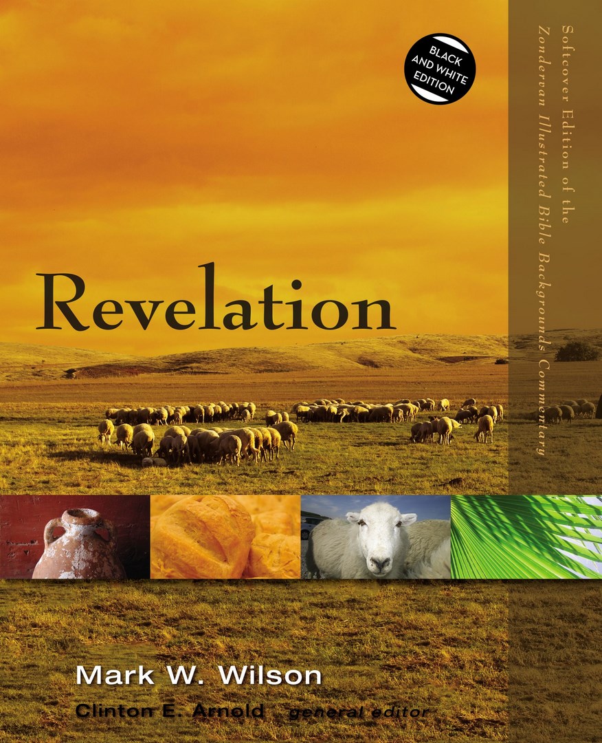 Revelation By Mark W Wilson (Paperback) 9780310523093