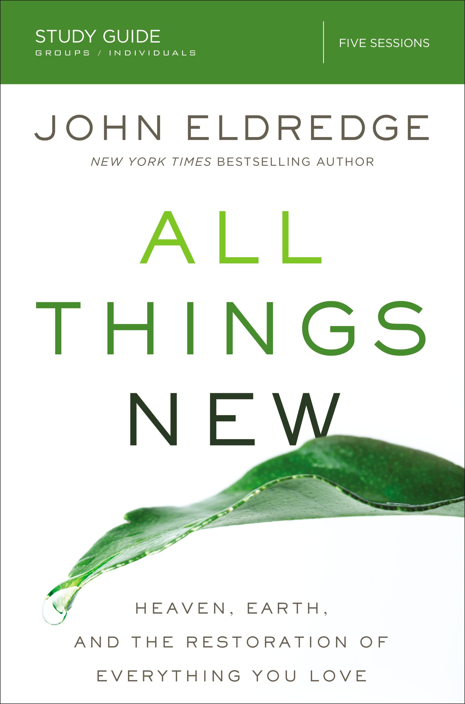 All Things New Study Guide By John Eldredge (Paperback) 9780310682165