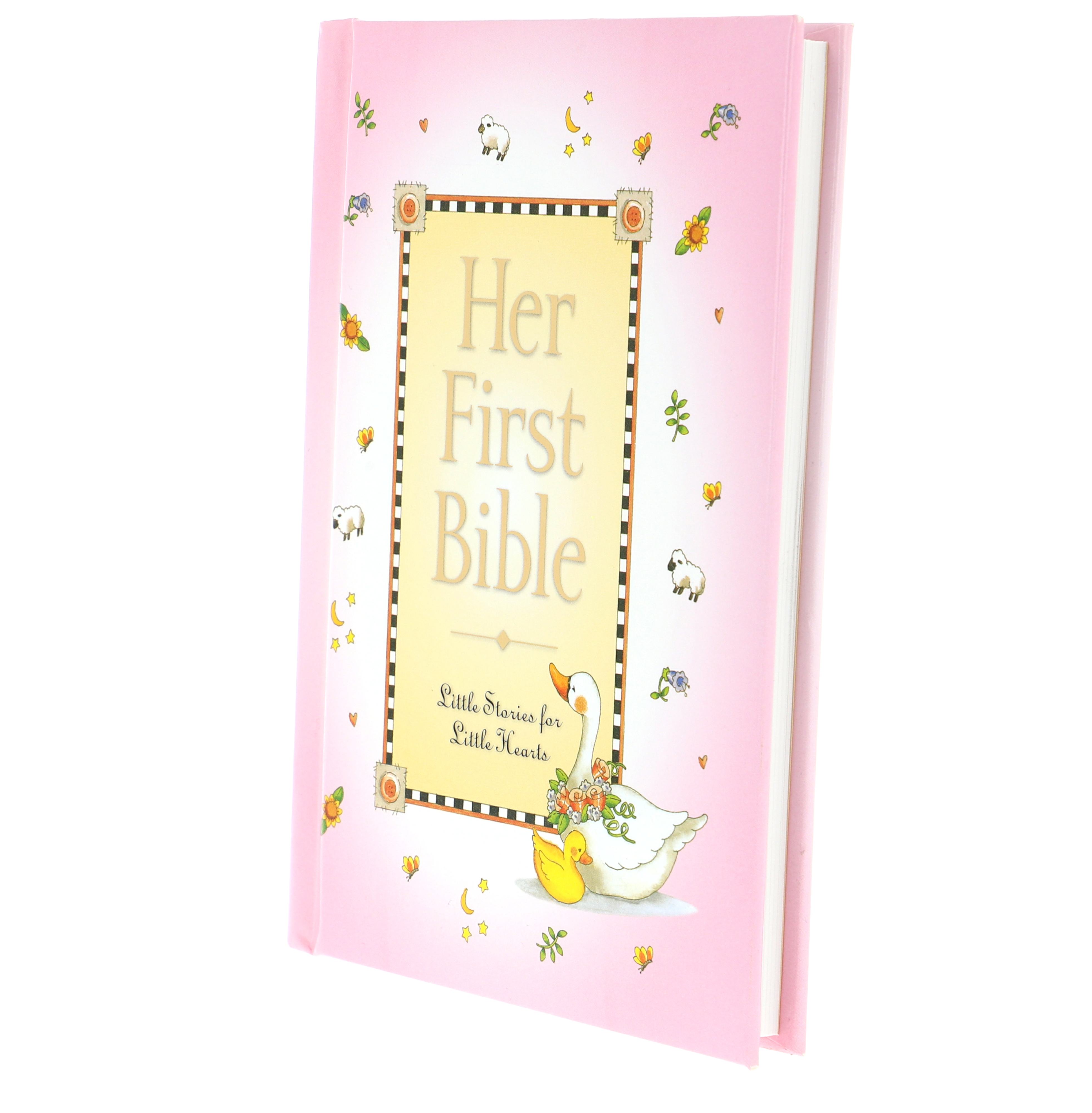 Baby's First Bible: Little Stories for Little Hearts [Book]