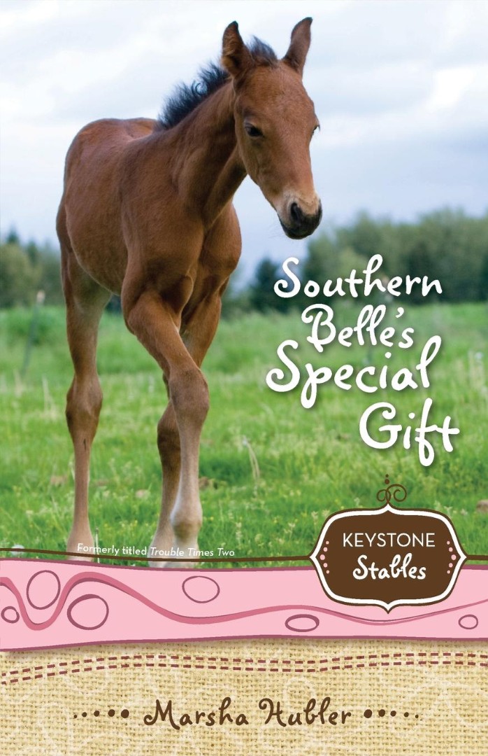 Southern Belle's Special Gift By Marsha Hubler (Paperback)