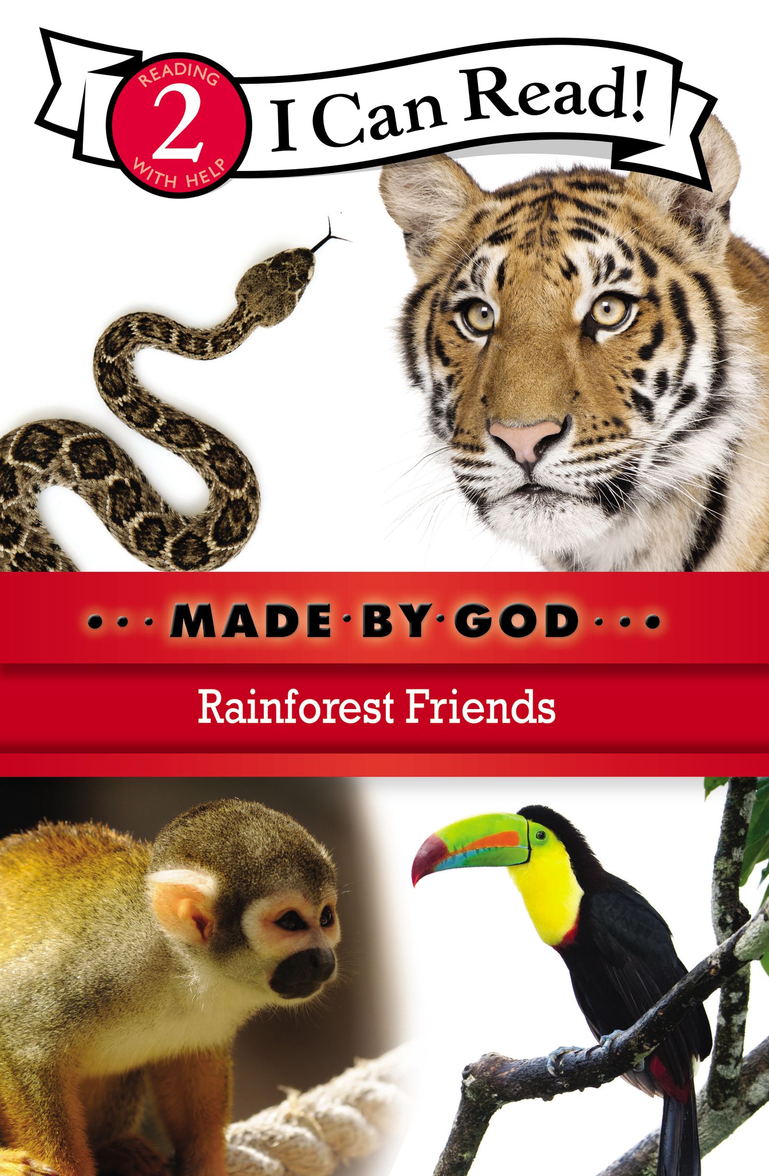 Rainforest Friends By Zondervan Publishing (Paperback) 9780310721826