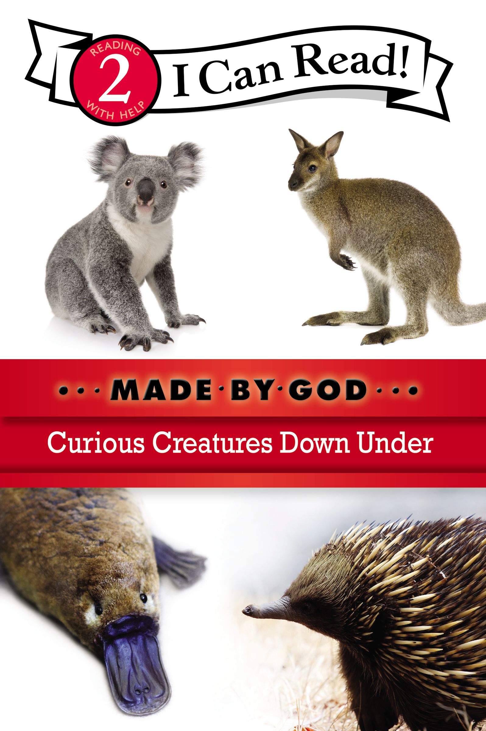 Curious Creatures Down Under By Zondervan Publishing (Paperback)