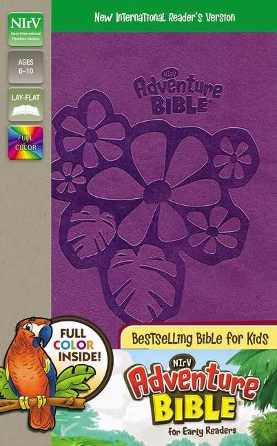 NIr V Adventure Bible for Early Readers Purple Imitation Leather Ful