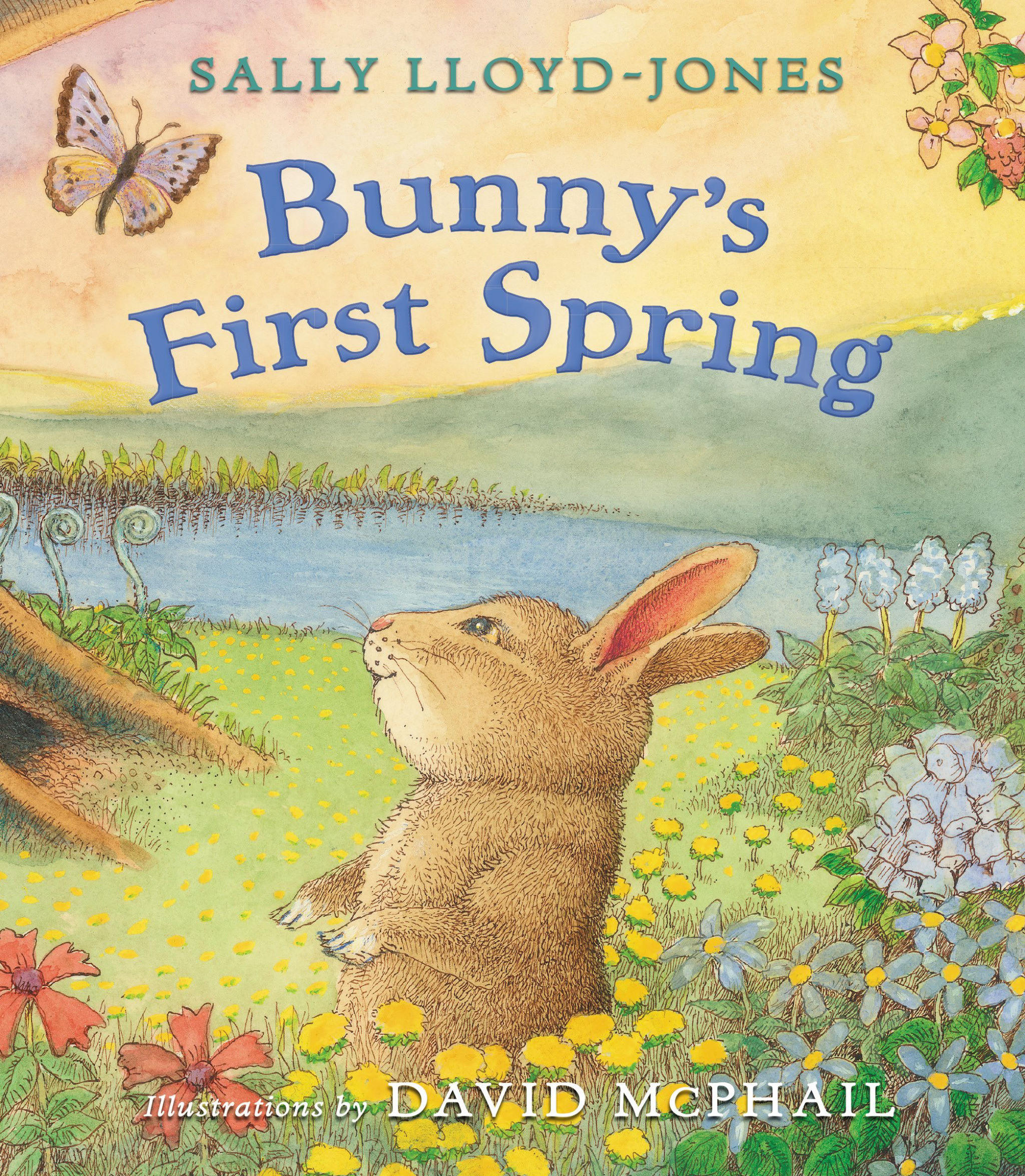 Bunny's First Spring By Sally Lloyd-Jones (Hardback) 9780310733867