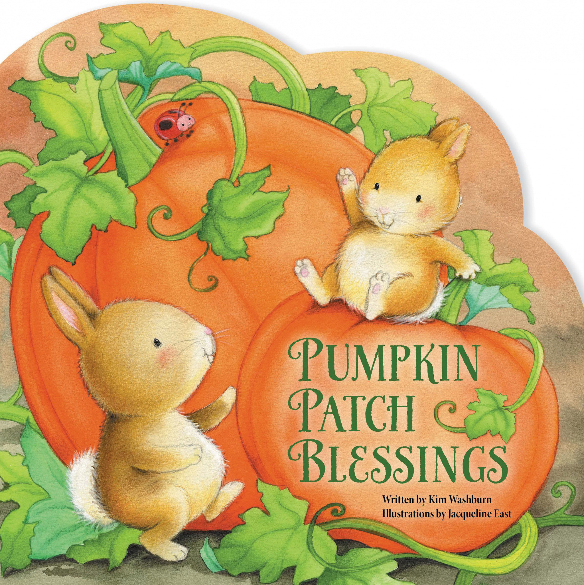 Pumpkin Patch Blessings By Kim Washburn (Board book) 9780310758198