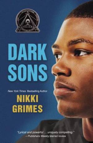 Dark Sons By Nikki Grimes (Paperback) 9780310761501