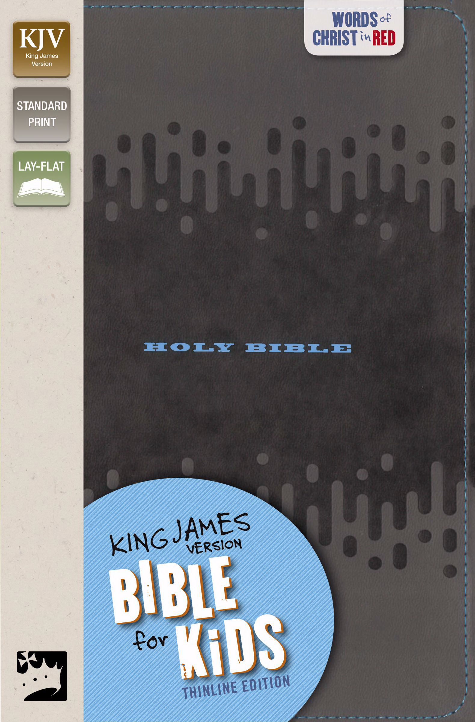 KJV Bible for Kids Imitation Leather Charcoal By Zondervan (Leather)