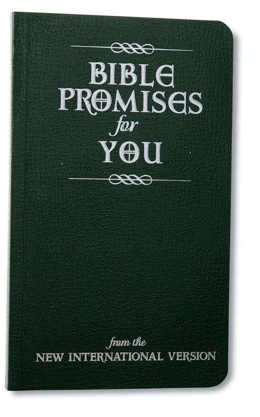 Bible Promises for You By Zondervan (Paperback) 9780310803881