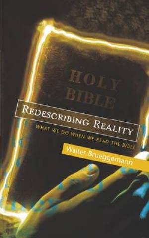 Redescribing Reality By Walter Brueggemann (Paperback) 9780334042167