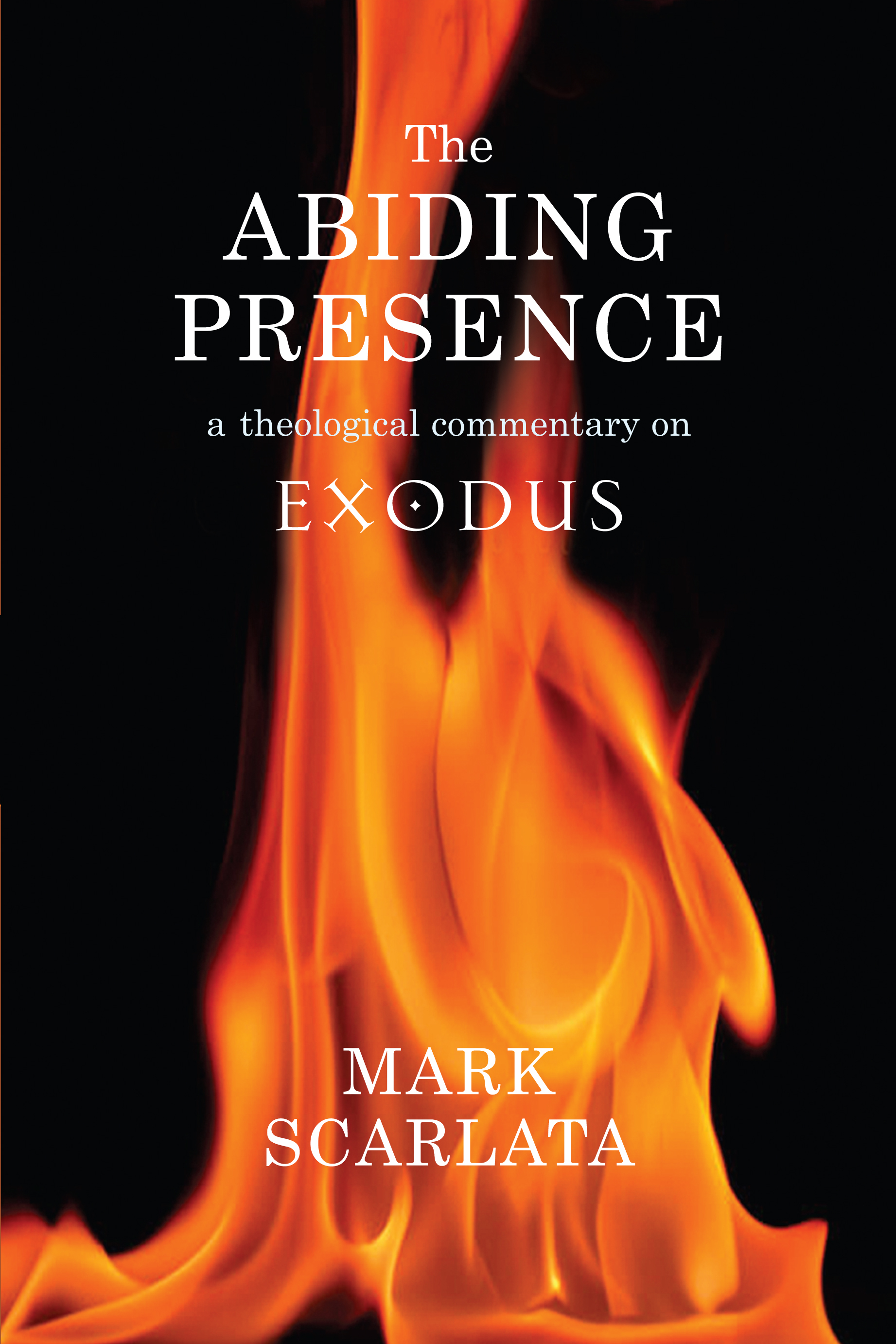 Abiding Presence: A Theological Commentary on Exodus