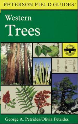 Western Trees By George A Petrides Olivia Petrides (Paperback)