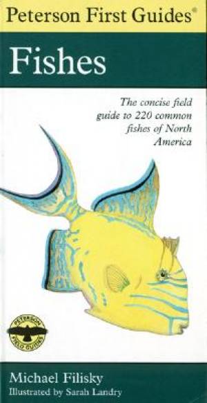 Fishes The Concise Field Guide To 220 Common Fishes Of North America