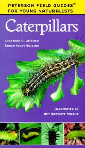 Caterpillars By Jonathan P Latimer Karen S Nolting (Paperback)