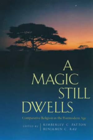 A Magic Still Dwells By Kimberley C Patton (Paperback) 9780520221055