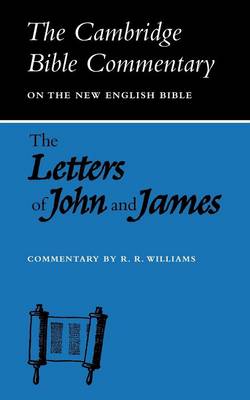 Letters Of John And James By Raymond Brady Williams (Paperback)