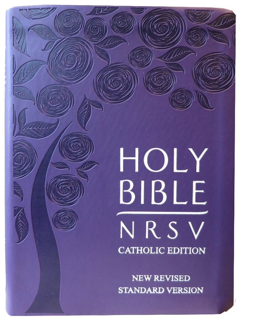 NRSV Catholic Edition, Purple | Free Delivery At Eden | 9780564080373