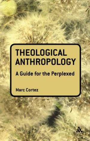 Theological Anthropology A Guide For The Perplexed (Paperback)