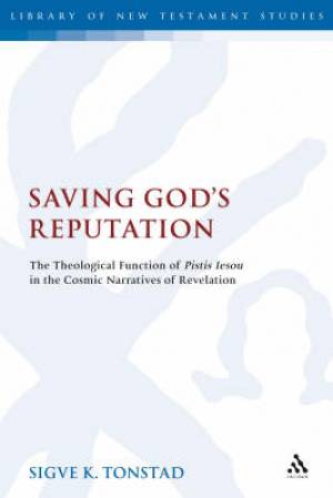 Saving God's Reputation By Tonstad (Hardback) 9780567044945