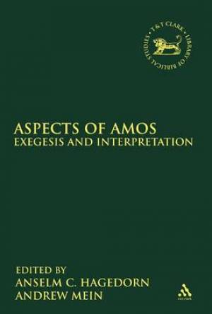 Aspects of Amos By Anselm Hagedorn (Hardback) 9780567245373