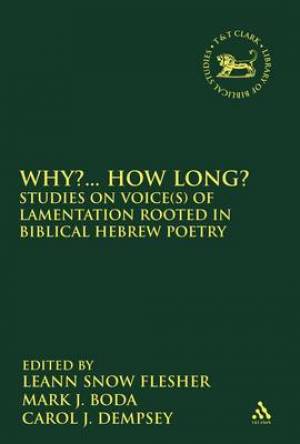 Why How Long By Flesher Le Ann Snow (Hardback) 9780567408488