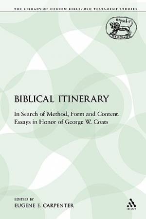 A Biblical Itinerary In Search of Method Form and Content Essays in