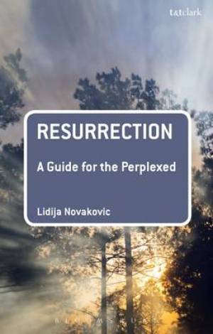 Resurrection A Guide for the Perplexed By Lidija Novakovic (Hardback)