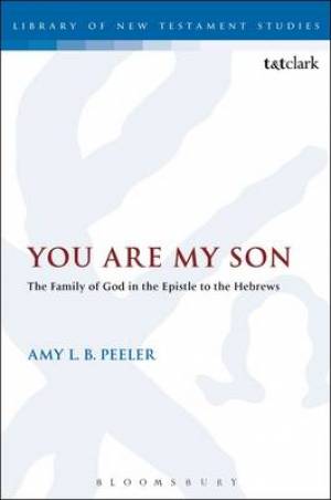 You are My Son (Hardback) 9780567654182