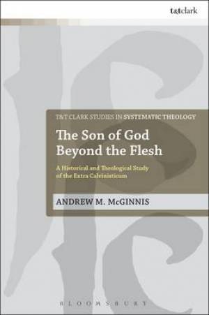 The Son of God Beyond the Flesh By Andrew M Mc Ginnis (Hardback)