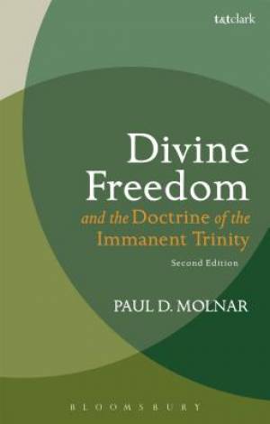 Divine Freedom and the Doctrine of the Immanent Trinity (Paperback)