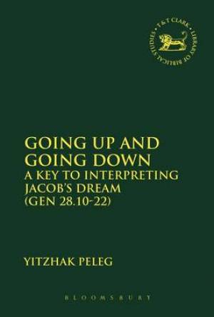 Going Up and Going Down By Yitzhak Peleg (Hardback) 9780567660251