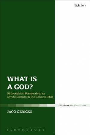 What is a God By Jaco Gericke (Hardback) 9780567671677