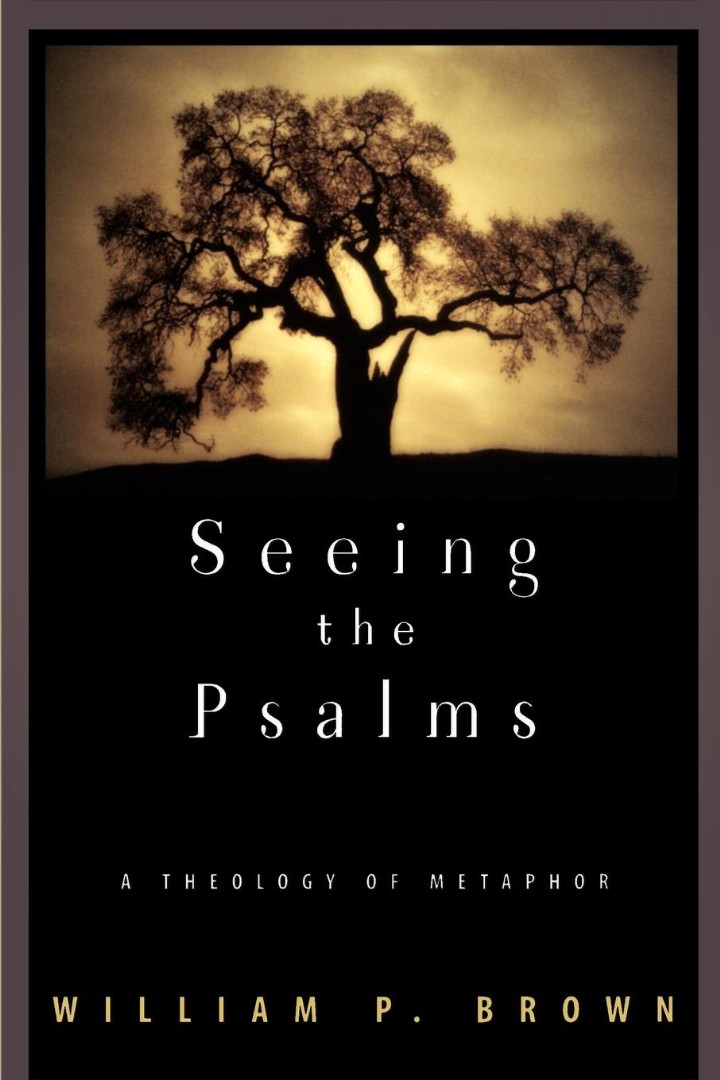 Seeing the Psalms By William P Brown (Paperback) 9780664225025