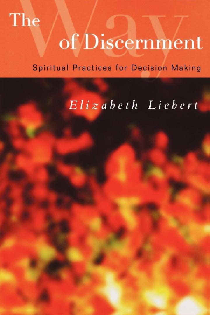 The Way of Discernment By Elizabeth Liebert (Paperback) 9780664228705