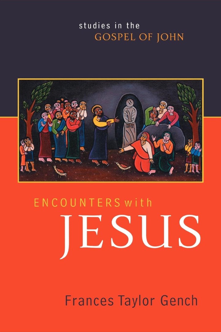 Encounters with Jesus Studies in the Gospel of John (Paperback)