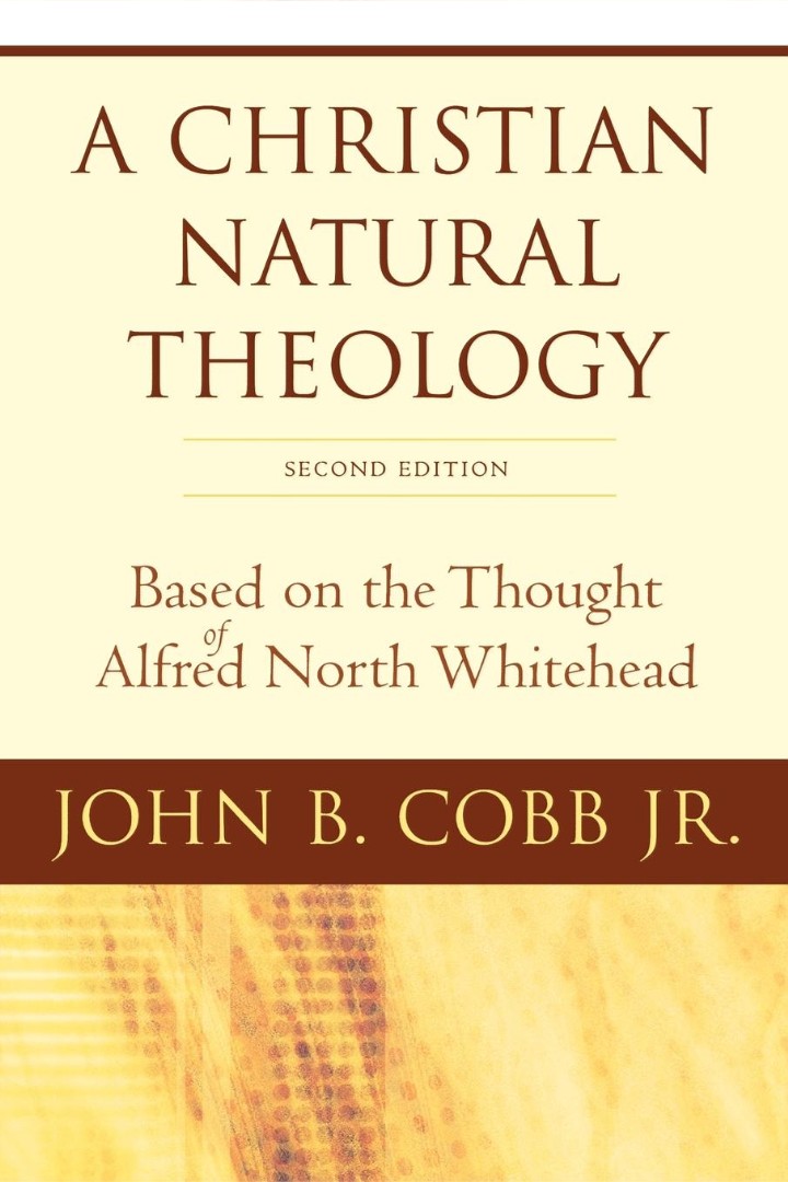 A Christian Natural Theology By John B Cobb (Paperback) 9780664230180