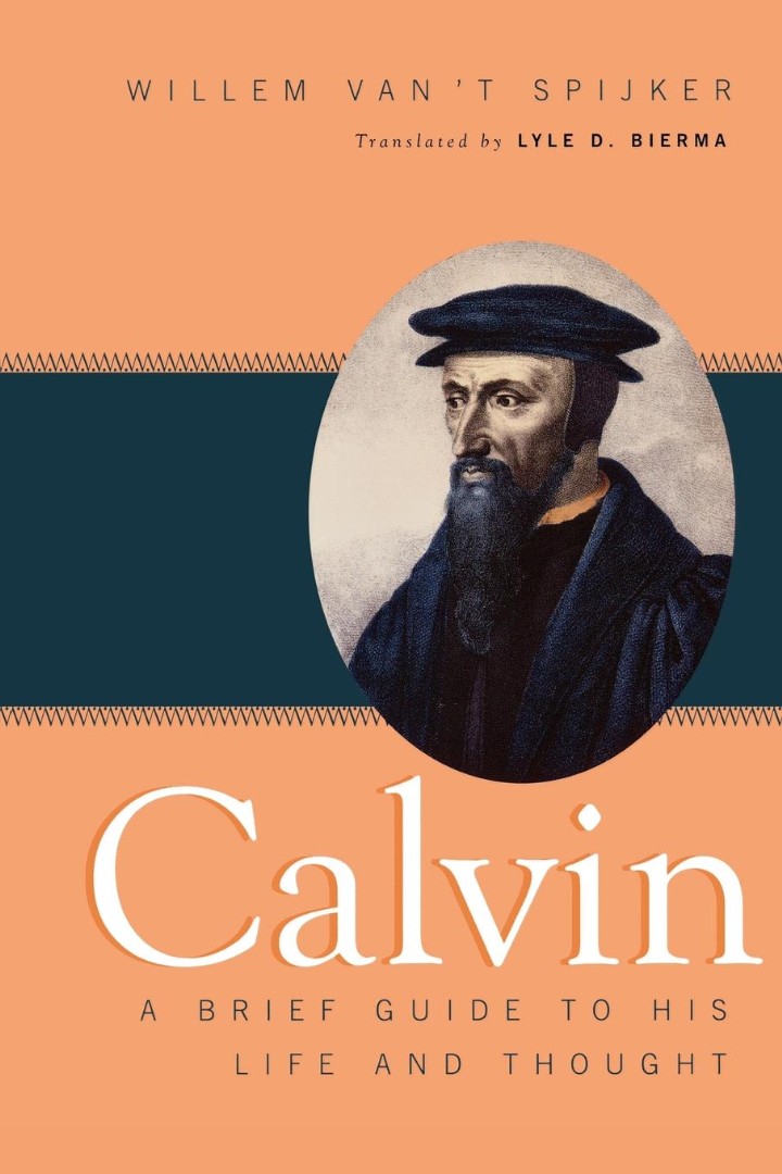 Calvin By Willem Van't Spijker (Paperback) 9780664232252