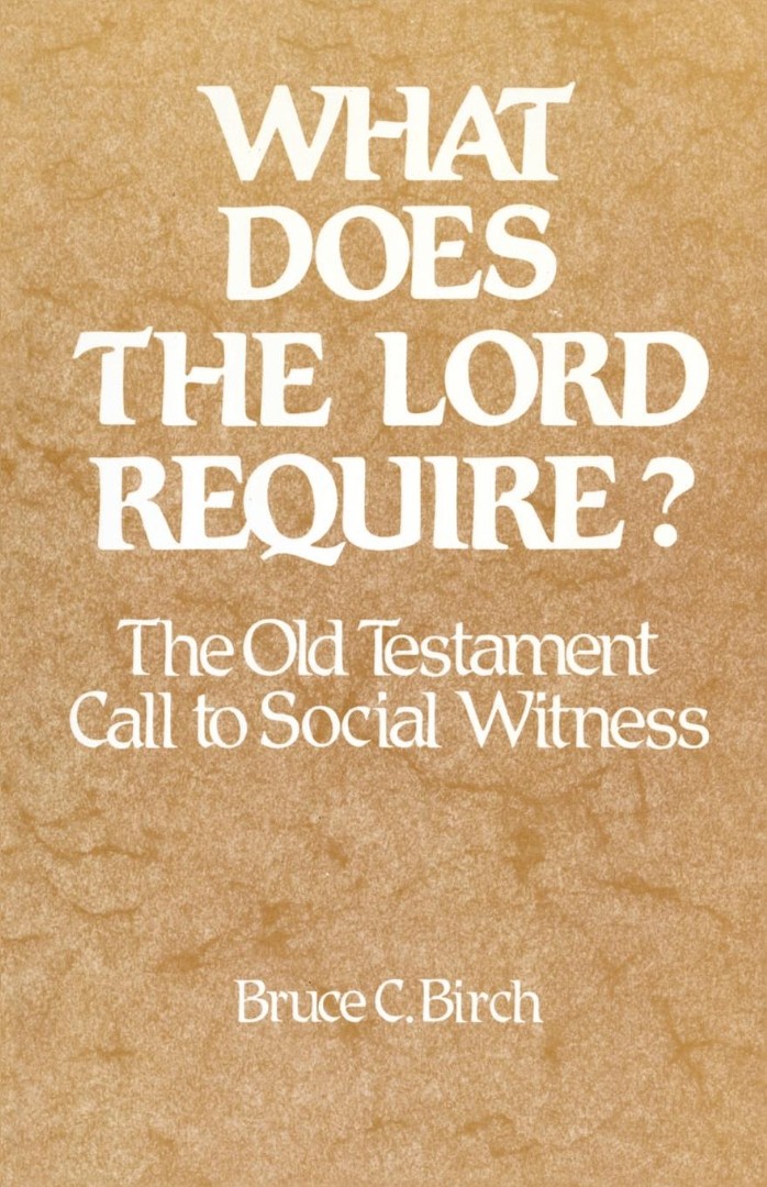 What Does The Lord Require Ot Call To By Bruce C Birch (Paperback)