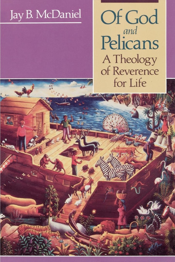 Of God And Pelicans By Jay Byrd Mc Daniel (Paperback) 9780664250768