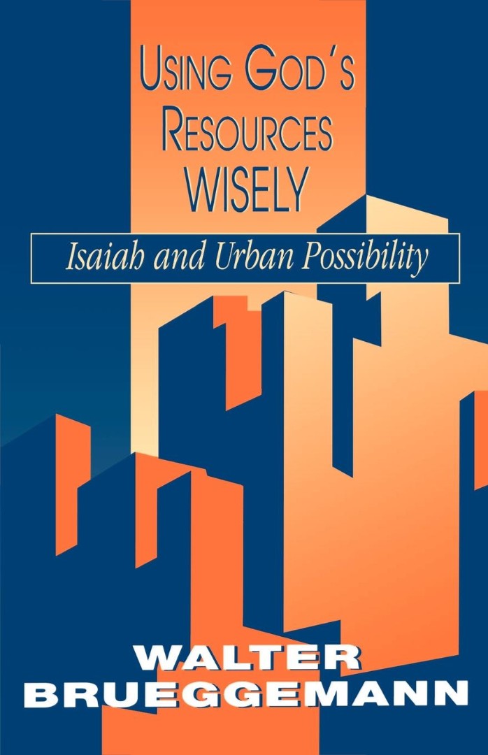 Using God's Resources Wisely By Walter Brueggemann (Paperback)