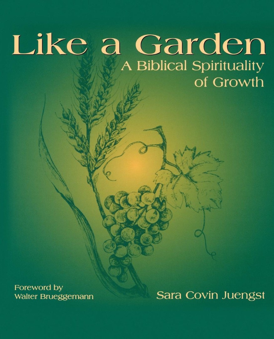 Like A Garden By Sara Covin Juengst (Paperback) 9780664256340