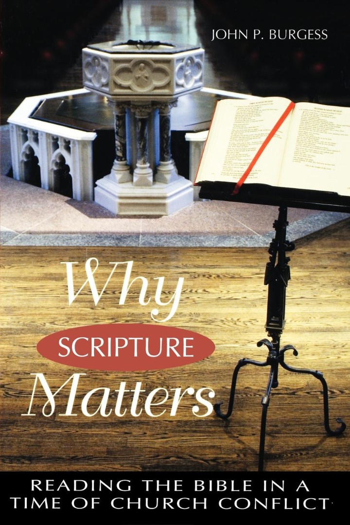 Why Scripture Matters By John P Burgess (Paperback) 9780664257088