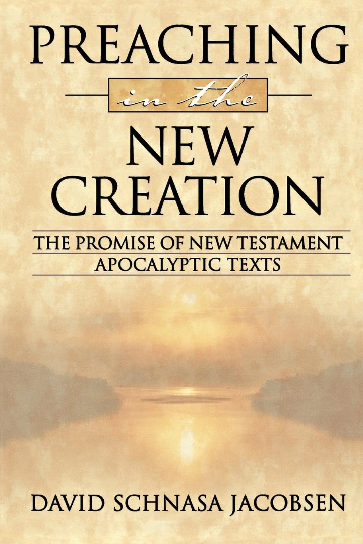 Preaching in the New Creation By David Schnasa Jacobsen (Paperback)