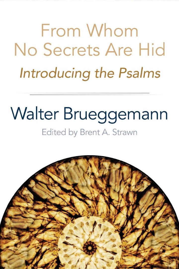 From Whom No Secrets are Hid By Walter Brueggeman (Paperback)